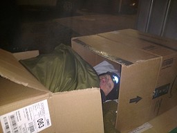 Clive in a cardboard box